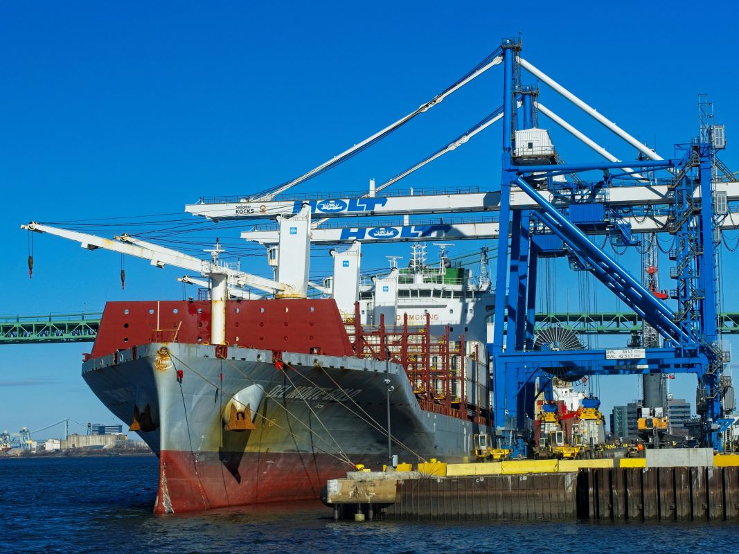 Managing Risks in LCL Shipping Services: Damage, Delays, and Customs Issues(pic2)
